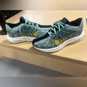 Pegasus turbo next nature